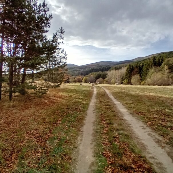 IMG-20231031-WA0011